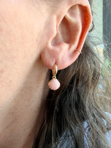 Huggie Hoops - Coral Shells