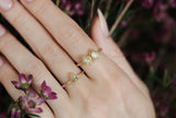 Green Diamond Toi et Moi