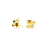 Small Clustered Diamond Earrings